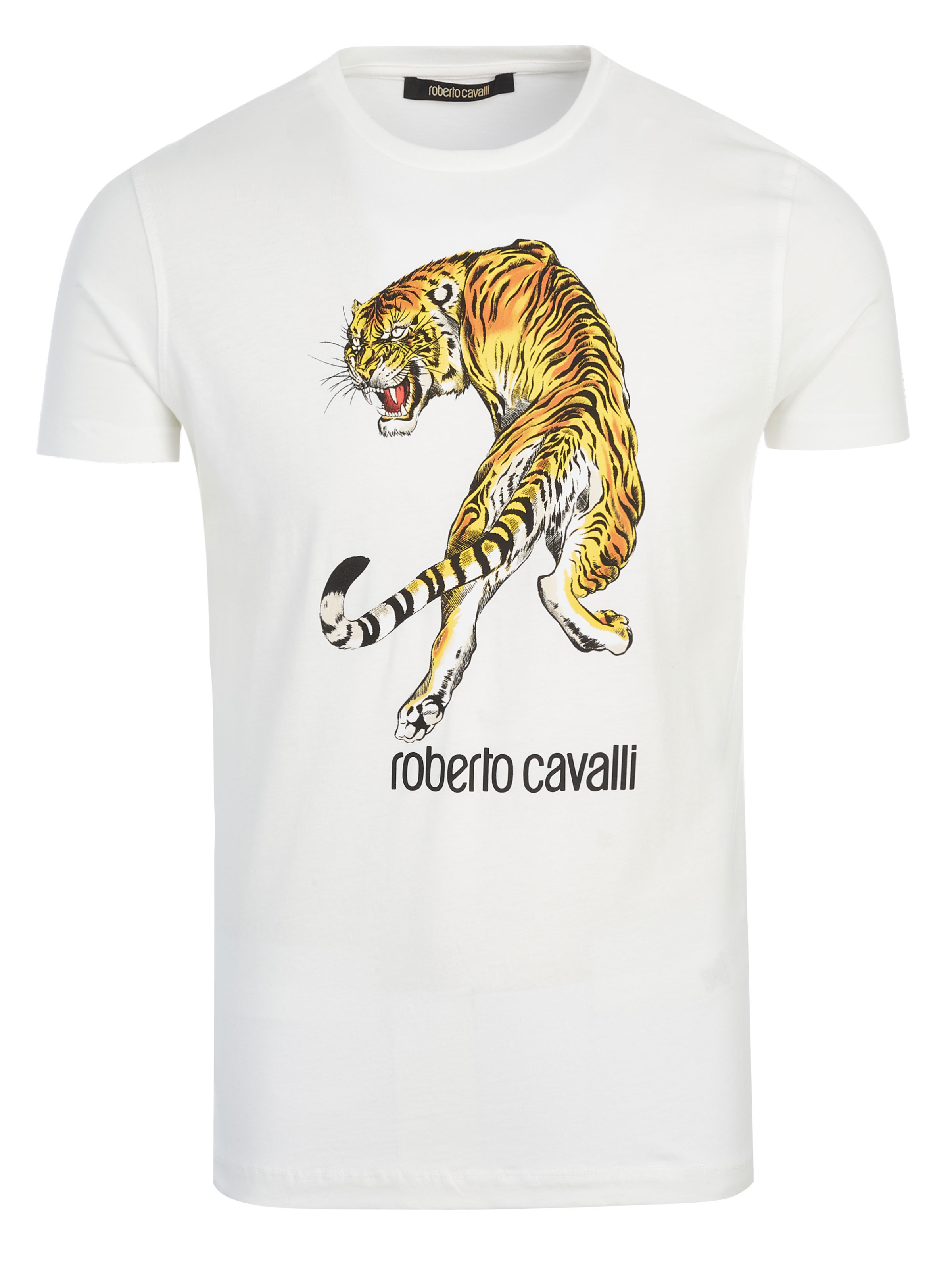 cavalli shirts