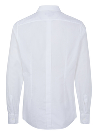Dolce & Gabbana GOLD shirt white