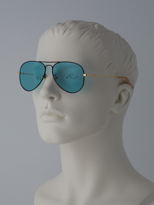 Gucci Sunglasses black-gold