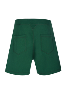 Dsquared2 Shorts green