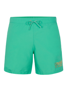 Cavalli Class Swimming trunk turquoise