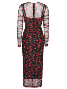 Dolce & Gabbana Dress black/red