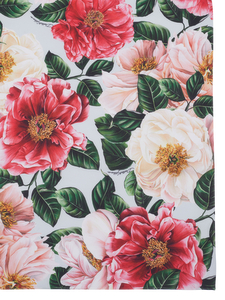 Dolce & Gabbana Schal creme