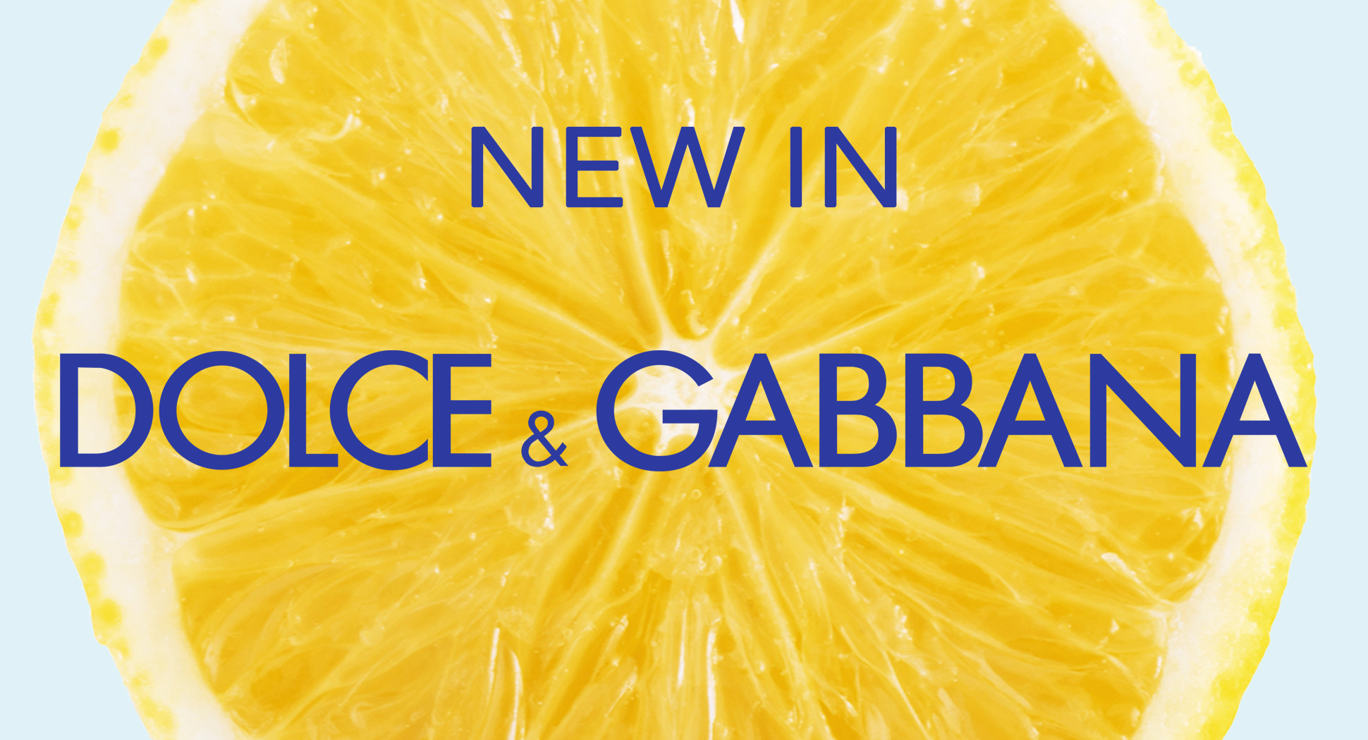 New In Dolce & Gabbana